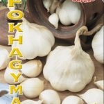 Képernyőkép 2025-03-27 172455