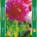 10_product_sunin-alatlanos-viragfold_50l_smal