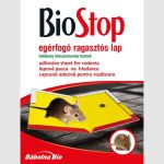 Képernyőkép 2024-09-22 174207