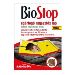 Képernyőkép 2024-09-22 174558