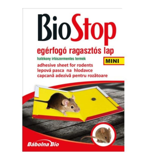 Képernyőkép 2024-09-22 174558