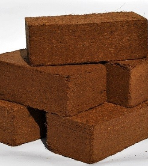 349050