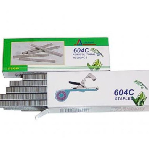 xr:d:DAFfy7X8JYs:369,j:45113760891,t:23041311