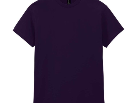 gi5000-blackberry-a2